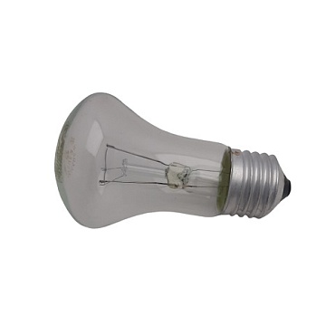 Лампа 40W E27 (1/100)